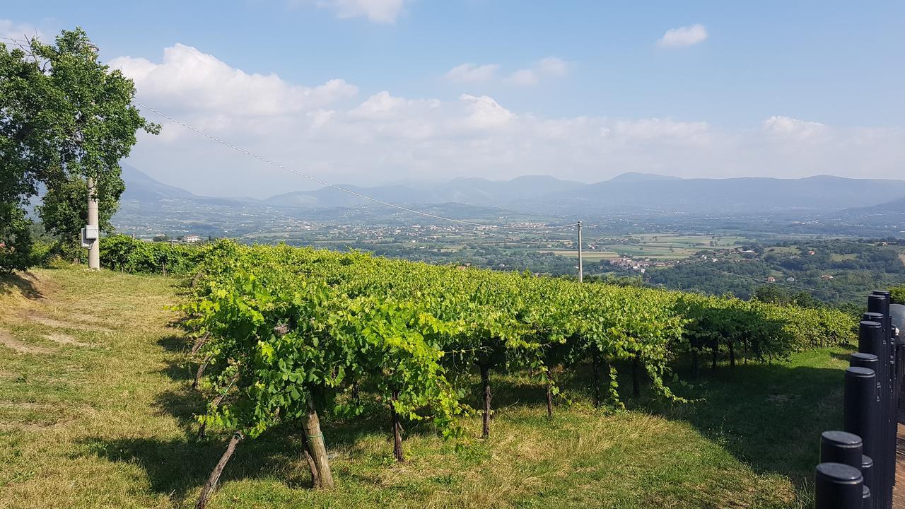 Lisandro Wine Resort Apartments Caserta Castel Campagnano Экстерьер фото