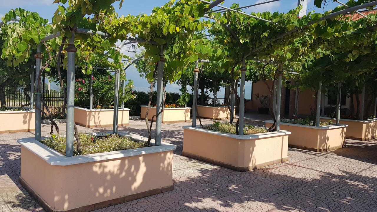 Lisandro Wine Resort Apartments Caserta Castel Campagnano Экстерьер фото