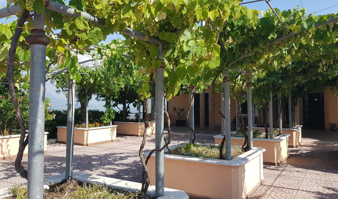 Lisandro Wine Resort Apartments Caserta Castel Campagnano Экстерьер фото