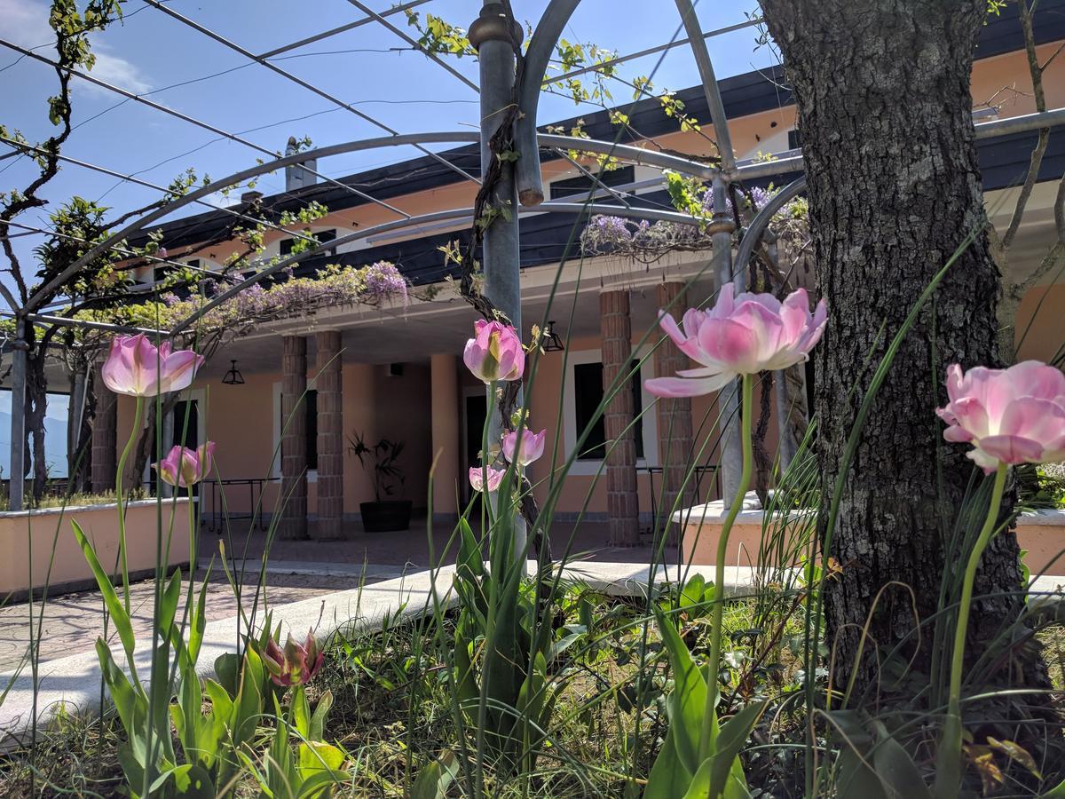 Lisandro Wine Resort Apartments Caserta Castel Campagnano Экстерьер фото